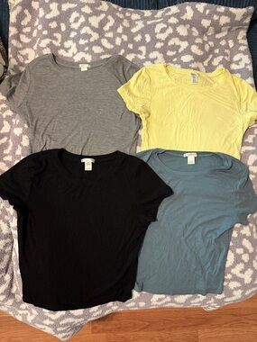 Bozzolo Ribbed Crop Tee Bundle - Black, Gray, Yellow, Blue